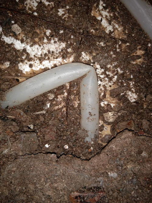 廉江堵点精准查找